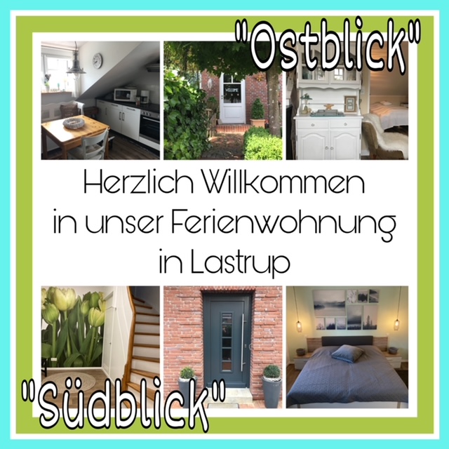 bambus strohhalm spülmaschine Bambusstrohhalme – Bambaw